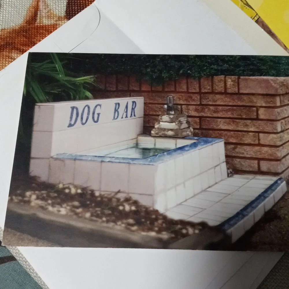 10 Dog Birthday Cards all Dog Related
